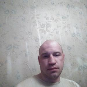 Роман, 36 лет, Могилев