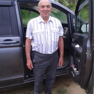 Владимир, 76 лет, Анапа