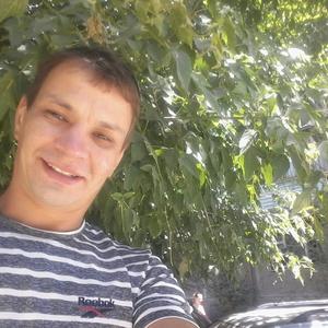 Potr Abilov, 39 лет, Туркестан
