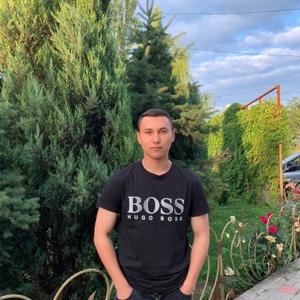 Damir, 23 года, Волгоград