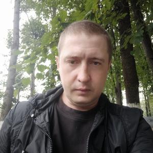 Илья, 37 лет, Сергиев Посад