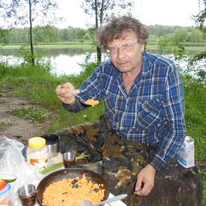 Парни в Сыктывкаре: Александр Пальшин, 60 - ищет девушку из Сыктывкара