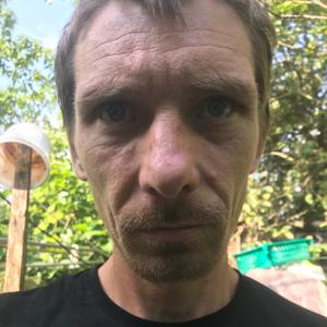 Николай, 41 год, Апшеронск