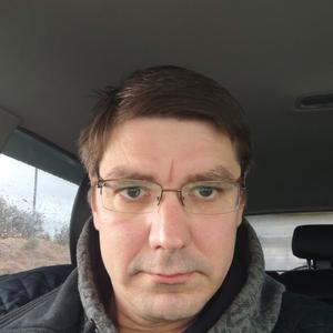 Денис Акимкин, 43 года, Нижний Новгород