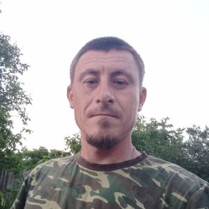 Парни в Ставрополе: Сергей, 36 - ищет девушку из Ставрополя