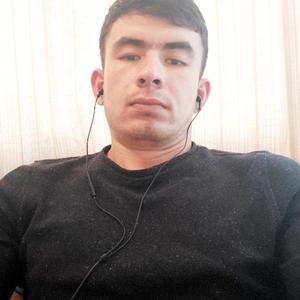 Bayram, 25 лет, Кострома