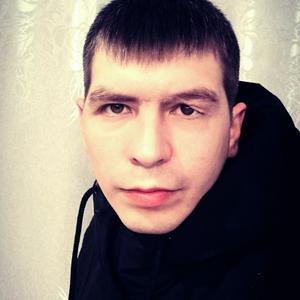 Толмач, 31 год, Видное
