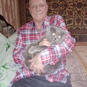 Владимир Аничкин, 67 лет, Инта