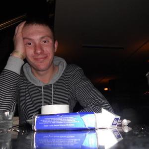 Алексей Булыгин, 33 года, Йошкар-Ола