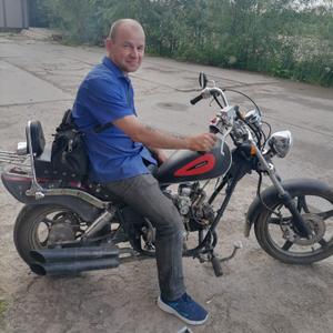 Александр, 41 год, Котлас
