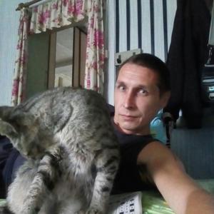 Парни в Звенигово: Андрей, 41 - ищет девушку из Звенигово