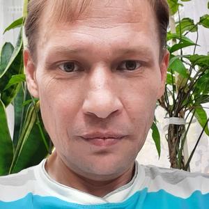 Парни в Луховицах: Алексей, 46 - ищет девушку из Луховиц