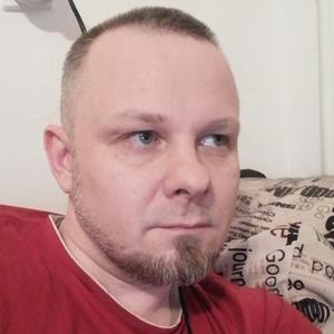 Алексей Киселев, 45 лет, Нижний Новгород