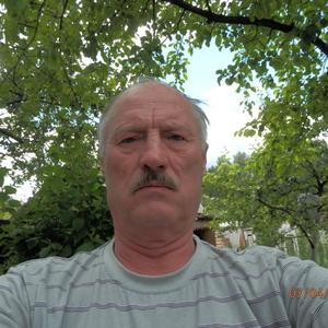 Анатолий Корякин, 66 лет, Пермь