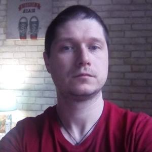 Sergey Fedorov, 39 лет, Ставрополь