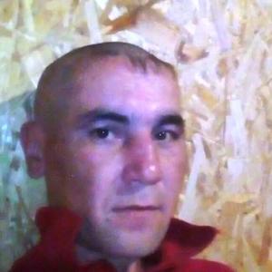 Igor, 40 лет, Ульяновск