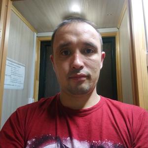 Mozgachik, 41 год, Волжск