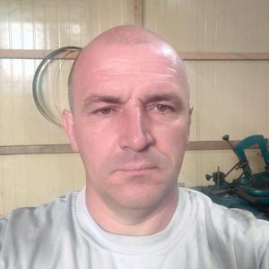Сергей, 49 лет, Рощино