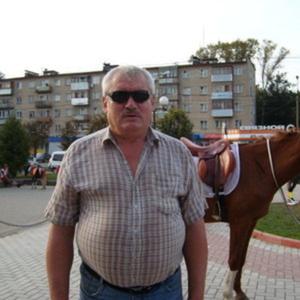Sergei, 71 год, Серпухов
