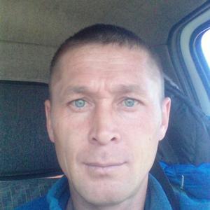 Иван Ергаки, 46 лет, Шушенское