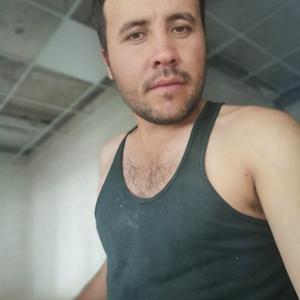 Anvar Begov, 35 лет, Чита