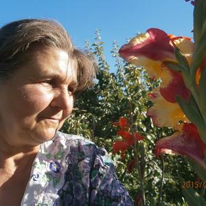 Татьяна Дмитриева, 67 лет, Порхов