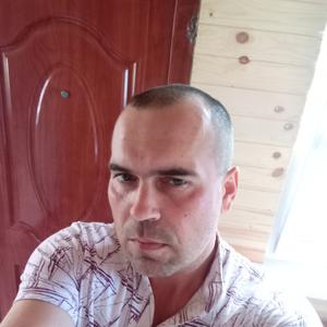 Сергей, 39 лет, Шилово