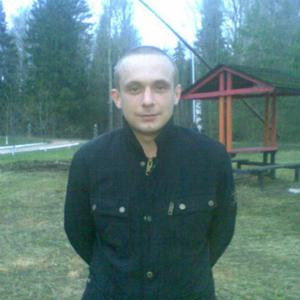 Александр, 37 лет, Витебск