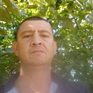 Валуев, 42 года, Краснодар