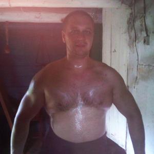 Сергей, 43 года, Окуловка