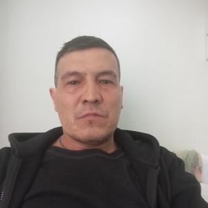 Дамир, 48 лет, Челябинск