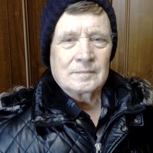 Александр, 71 год, Далматово