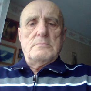 Валерий, 81 год, Выборг