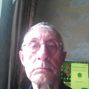 Виктор Комбаров, 76 лет, Тамбов