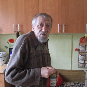 Парни в Нальчике: Вадим, 71 - ищет девушку из Нальчика