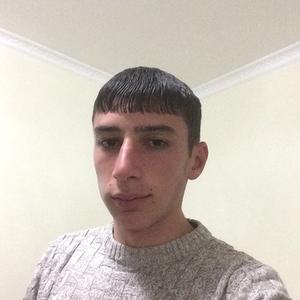 Серге, 24 года, Ереван