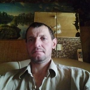 Александр, 46 лет, Ивантеевка