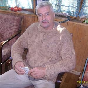 Василий, 68 лет, Пермь