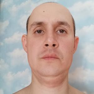 Ренат, 38 лет, Лениногорск