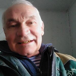 Анатолий, 71 год, Подольск