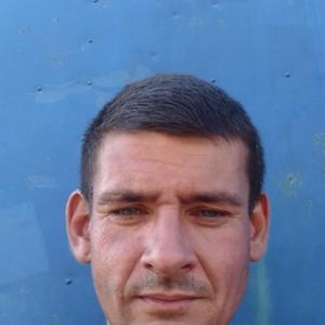 Андрей Денисенко, 42 года, Калуга