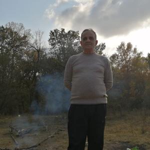 Исмаил, 66 лет, Нальчик
