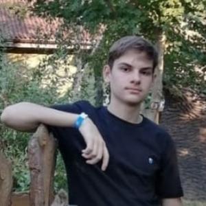 Денис, 20 лет, Волгоград