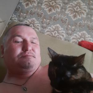 Парни в Йошкар-Оле: Олег, 49 - ищет девушку из Йошкар-Олы