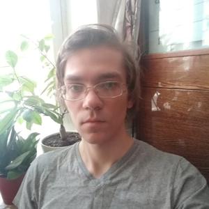 Иван, 33 года, Пушкино
