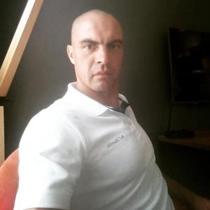 Николай, 41 год, Устюжна