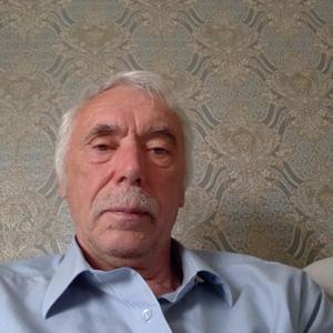 Александр, 70 лет, Новосибирск
