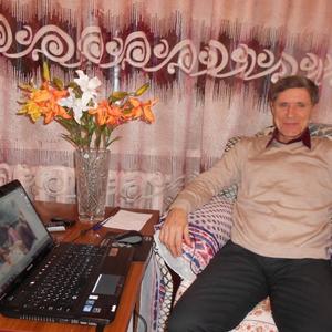 Александр Борисов, 66 лет, Новосибирск