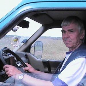 Владимир Богданов, 73 года, Санкт-Петербург
