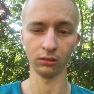 Аркадий Новиков, 28 лет, Тольятти